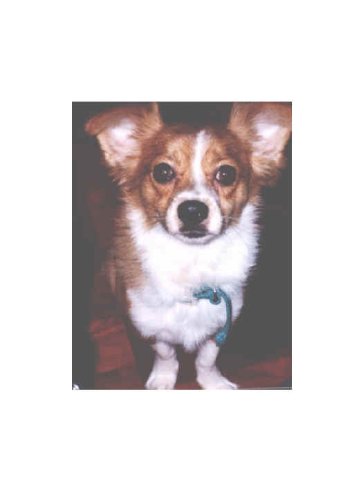 eric.bmp (1116470 bytes)